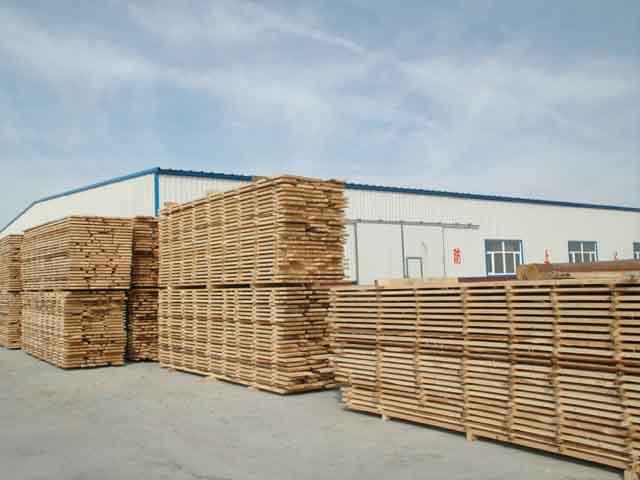 安泰木业-木材进口,木材进口,木材加工,木材销售及货运代理